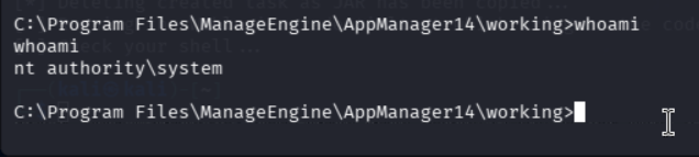 whoami confirming nt authority\system on the .95 host